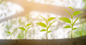 Career Counseling and Executive Coaching
